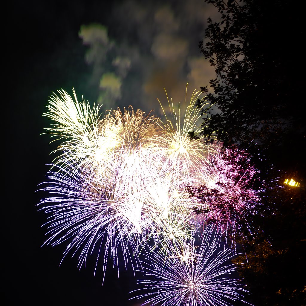 Волгоград. Фейерверк на День Победы / Volgograd. Fireworks at Victory Day by Anna Pronenko