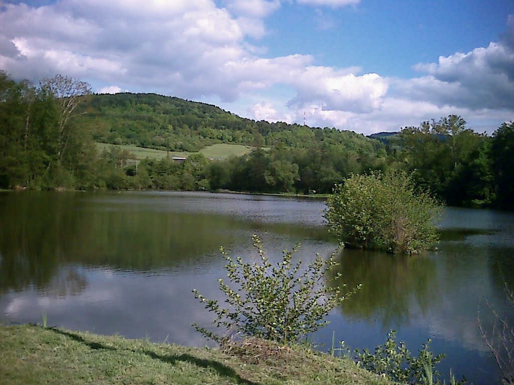 Rybník v Žiari nad Hronom / Fishpond in Ziar nad Hronom by Denis Ondriškovič