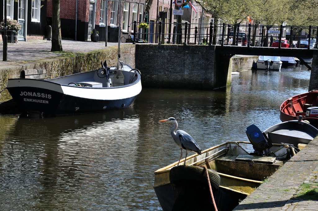 Noord Holland : Enkhuizen (Zuider Havendijk) by Dominique “dhazard99…