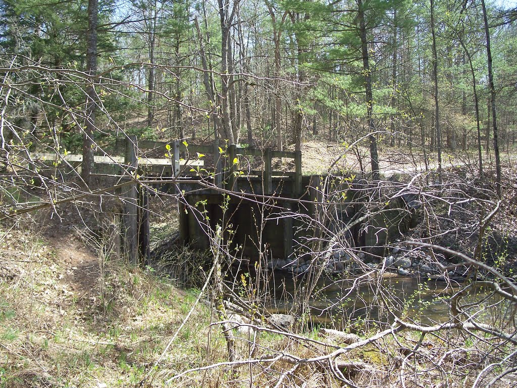 Wooden One Lane Bridge by David Post