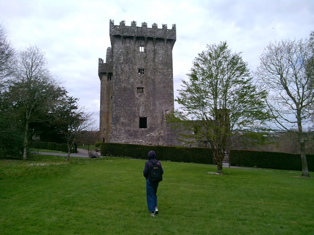 Ballygrohan, Co. Cork, Ireland by robryant