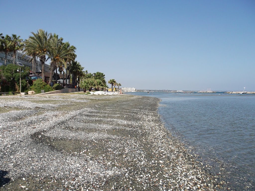 Larnaca by tombat (Nagy Tamás)