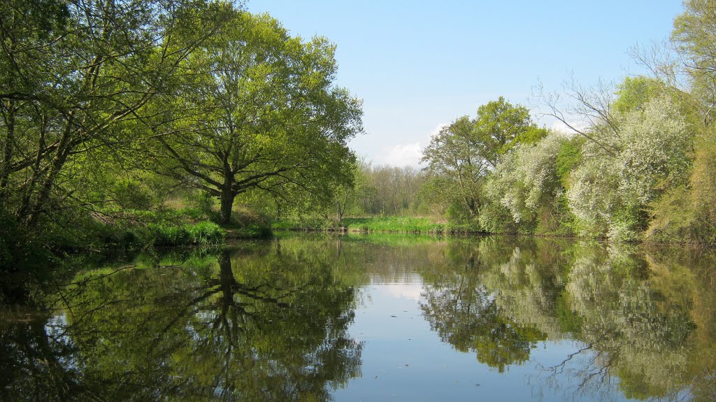 Reflections on the Medway by twosugars