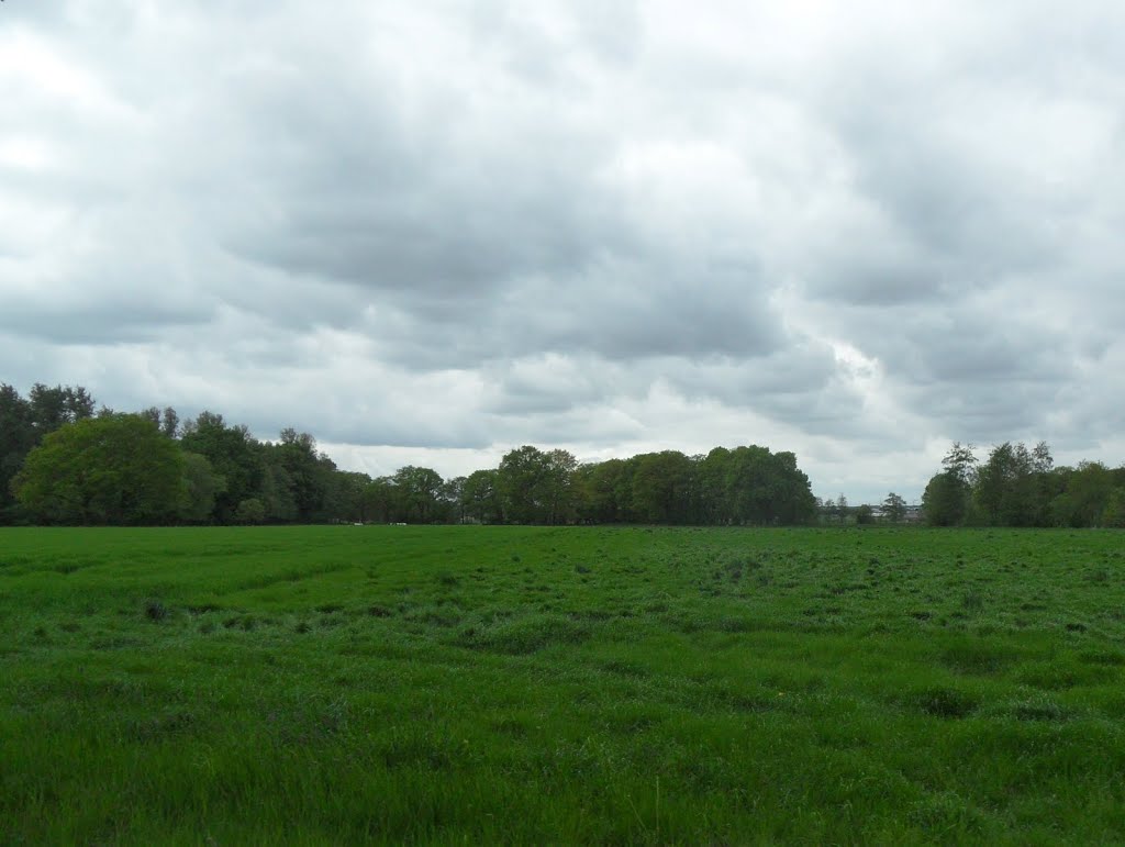 DE - Wachtendonk - Laerheider Weg by Danny Danckaert