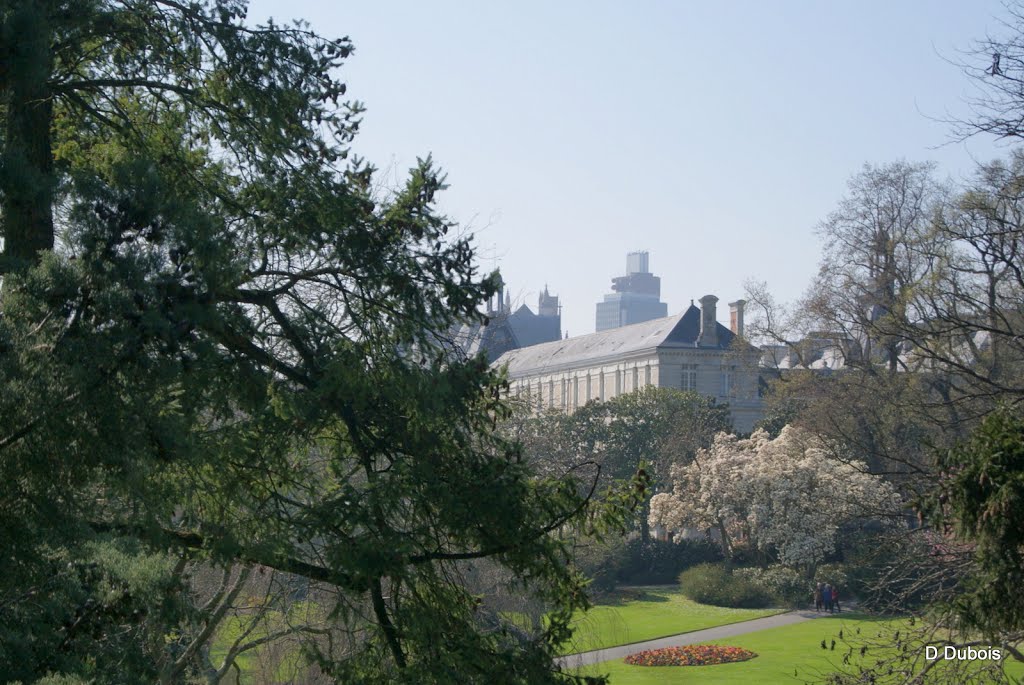 Nantes Vue sur le Lycée Clemenceau , la tour Bretagne et la Cathédrale. by Dubois dominique