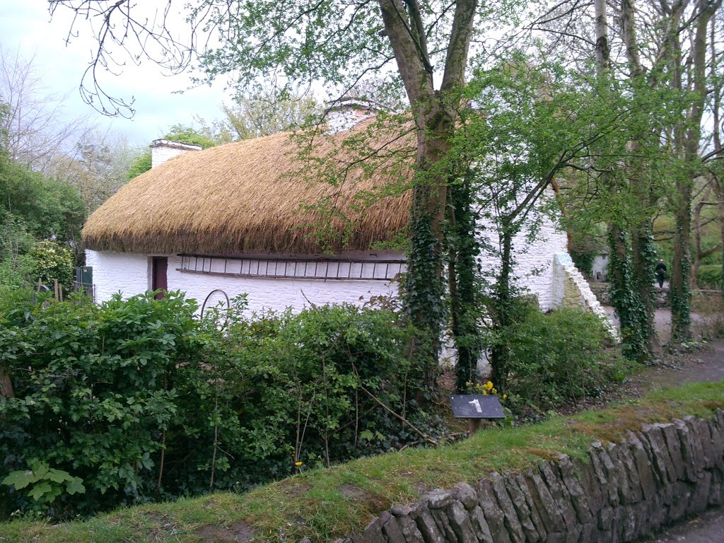 Bunratty West, Co. Clare, Ireland by robryant