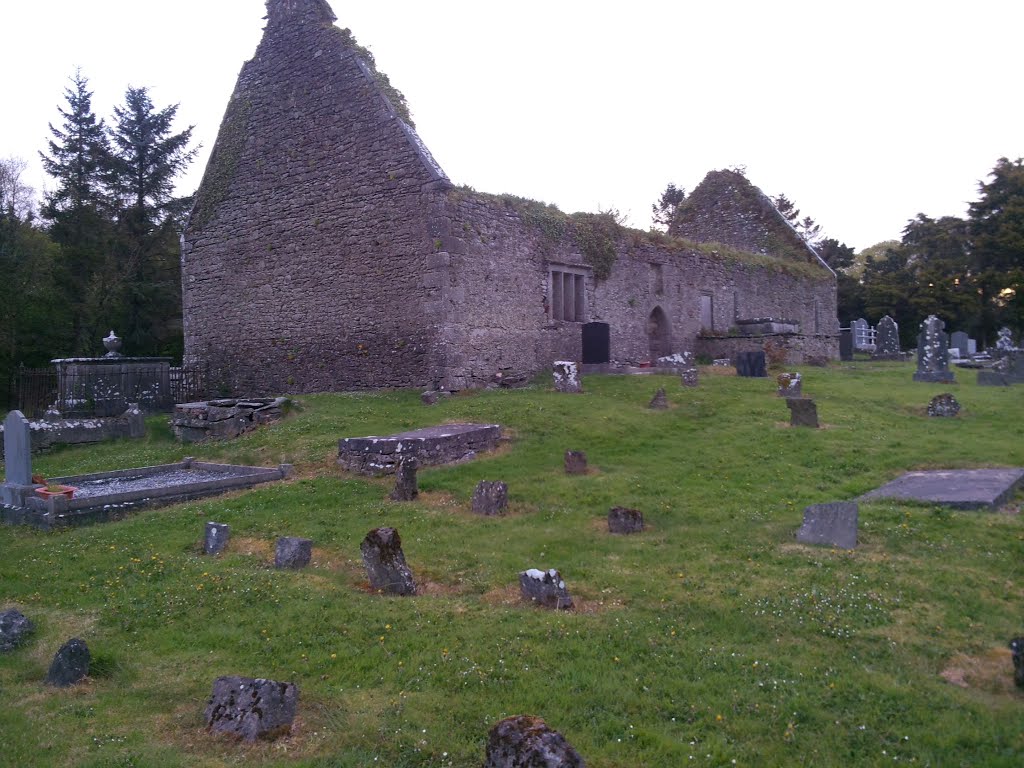 Bunratty West, Co. Clare, Ireland by robryant