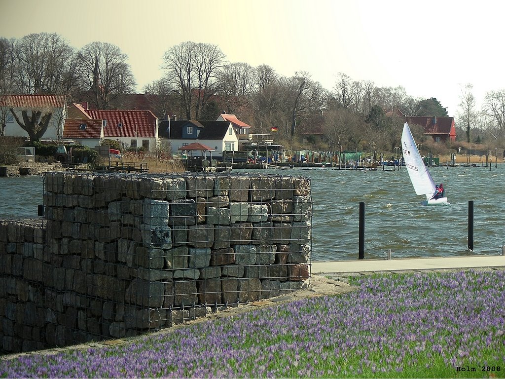 Holm im Frühling by PictureMani