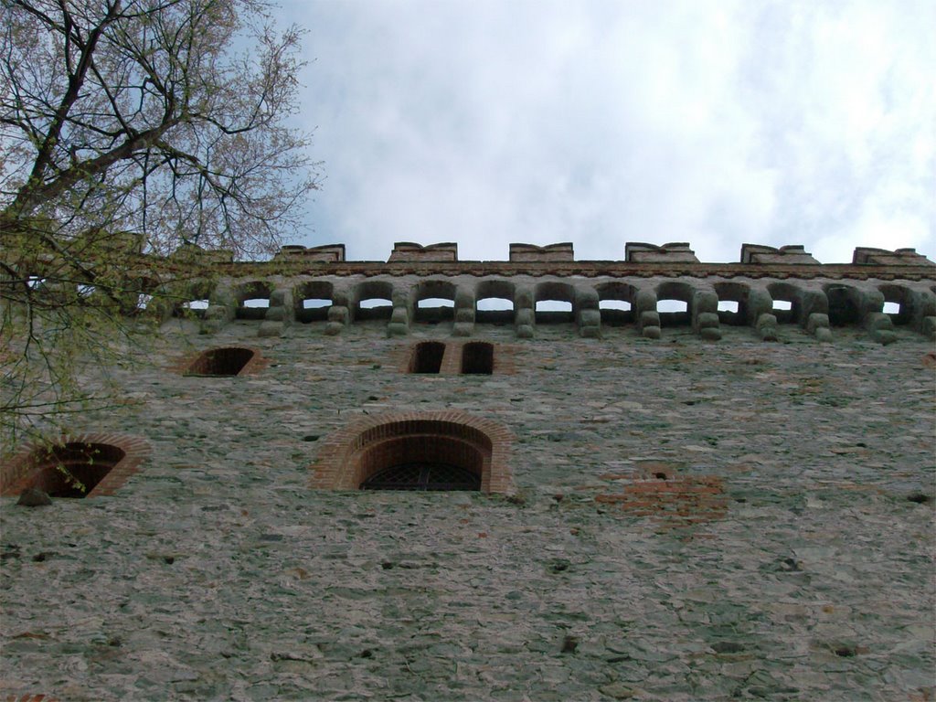 Il castello di Montalto Dora by Mononeuro