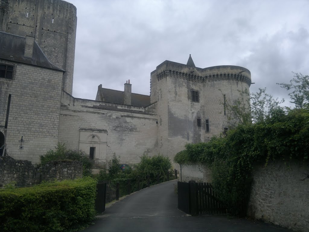 Castle of Loches. by Lucky 