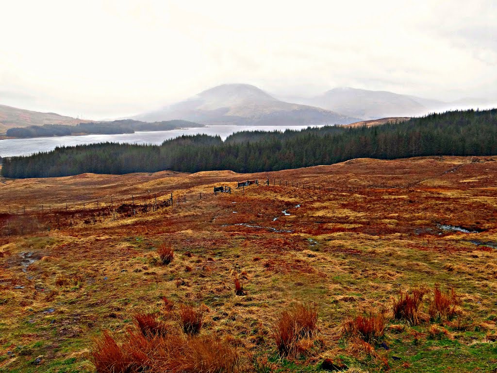 Scottish Highlands by Vincze Péter Antal