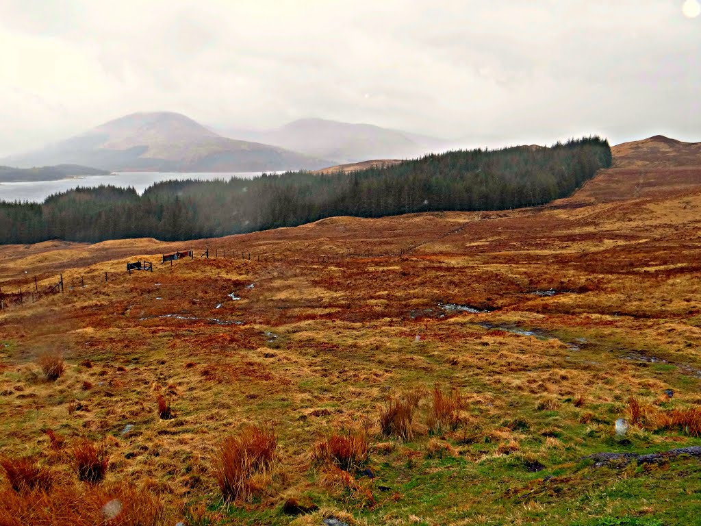 Scottish Highlands by Vincze Péter Antal