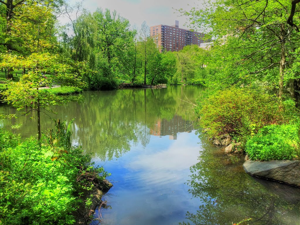 Central Park, NY. The Pool. by persaud