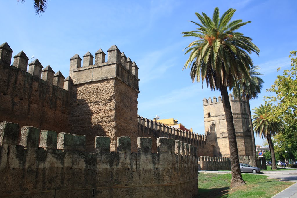 Sevilla, alte Stadtmauer by brugge_tripel