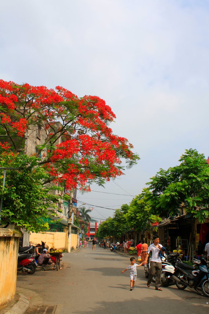 Gia Thụy, Long Biên, Hà Nội, Vietnam by quanphe ngoduc