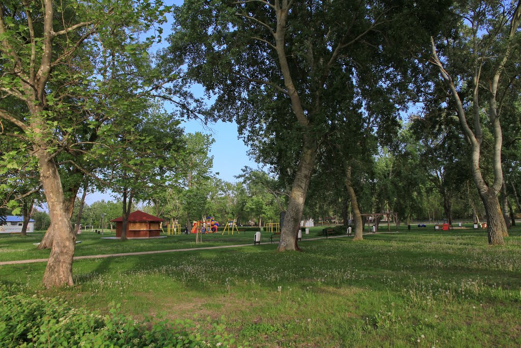 Balatonfoldvar, Public beach by pskusek