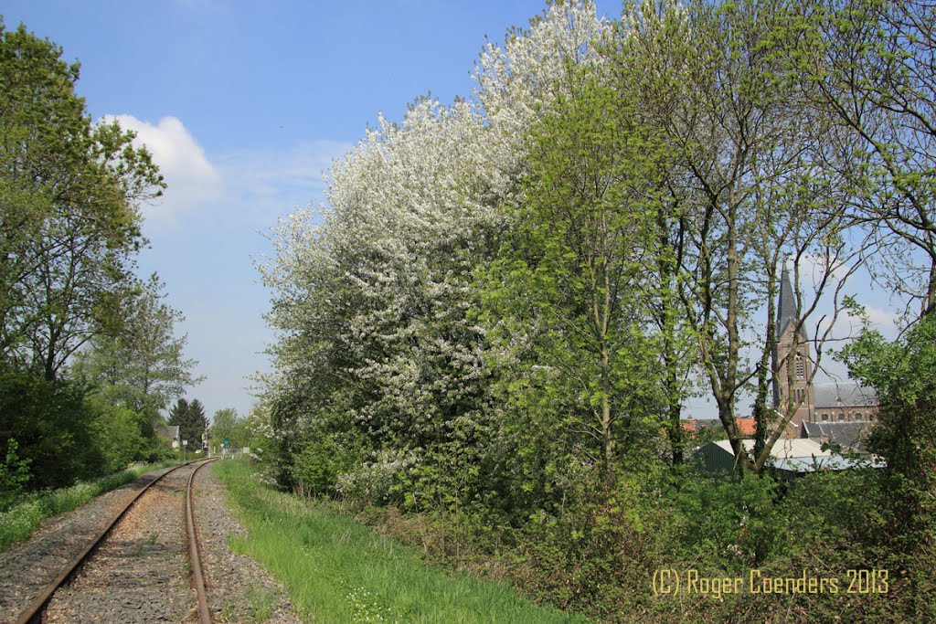 Wijngracht, Prickart, Limburg, Nederland by Roger Coenders