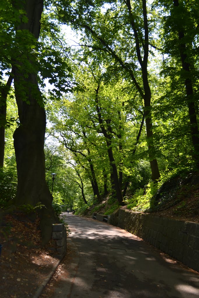 Prague, Petřín hill, old park by DanaSun