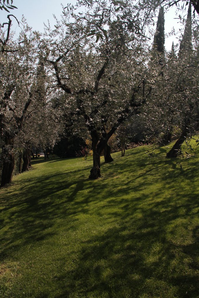 Silver shadows by luciano mantovani