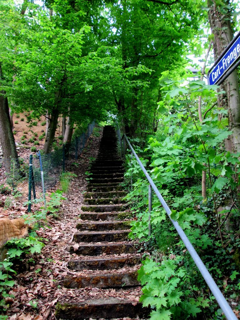 Niveaux- Carl Frenger Weg by M´eeralgues Aquârelémell