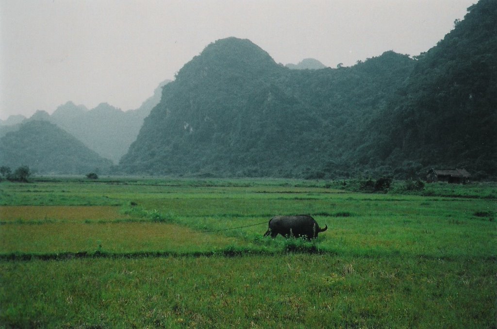 Rural Vietnam by JLeahy