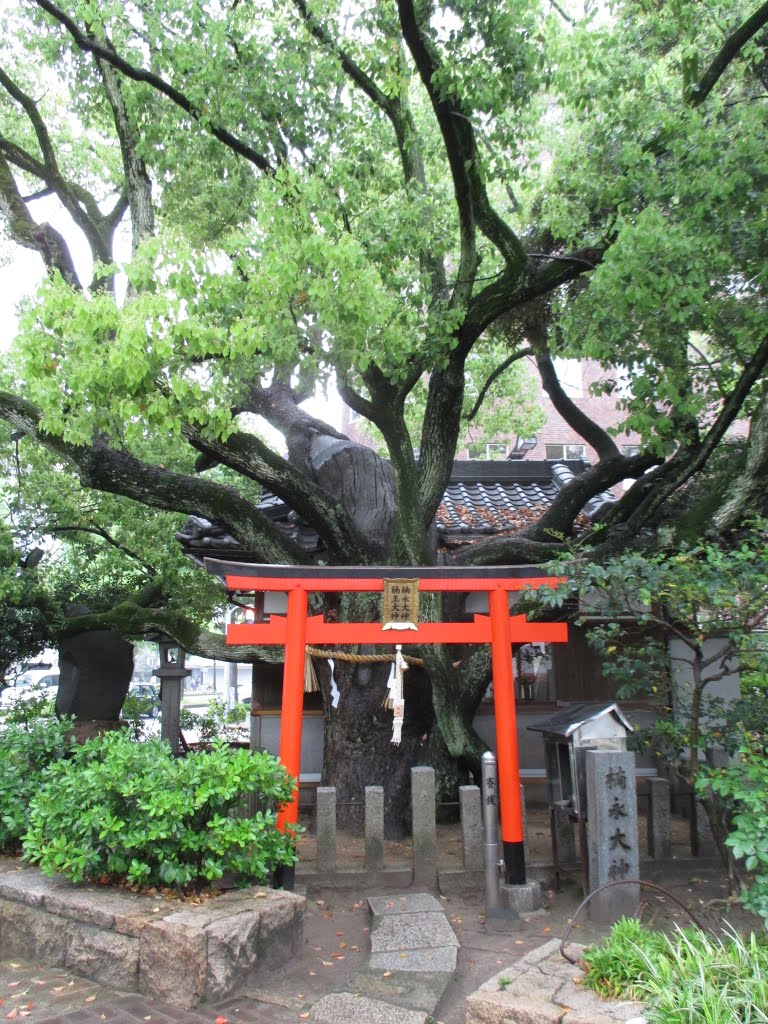 楠永神社 Kusunaga Shrine by iloverjoa