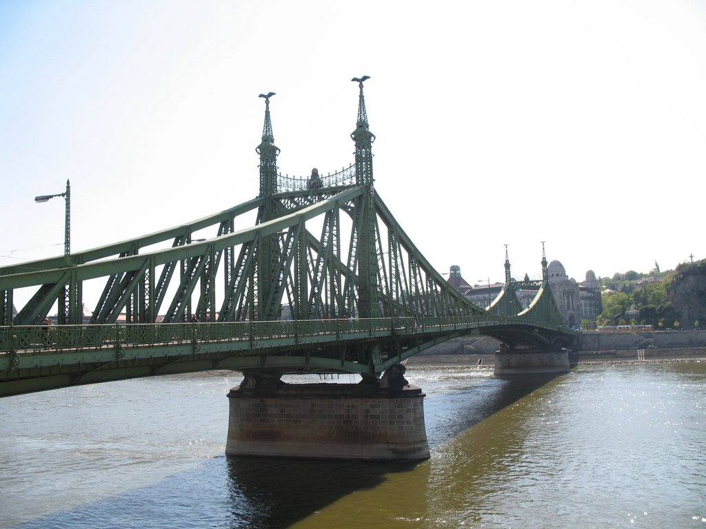 Budapest, Pont de la Llibertat by Lluis Bellsolell C