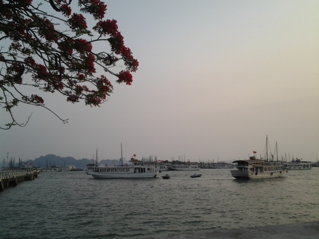 Bãi Cháy, tp. Hạ Long, Quảng Ninh, Vietnam by Dần Lê