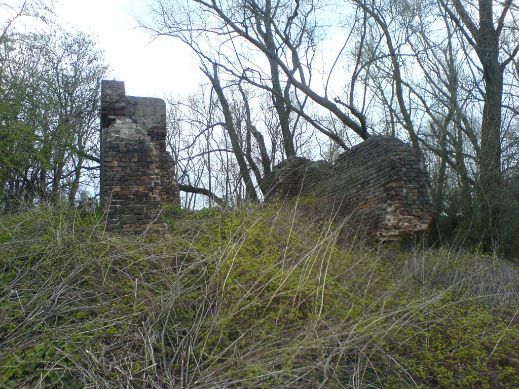 Schleusenreste am Dammloch entstanden druch Dammbruch 1920 by leines123