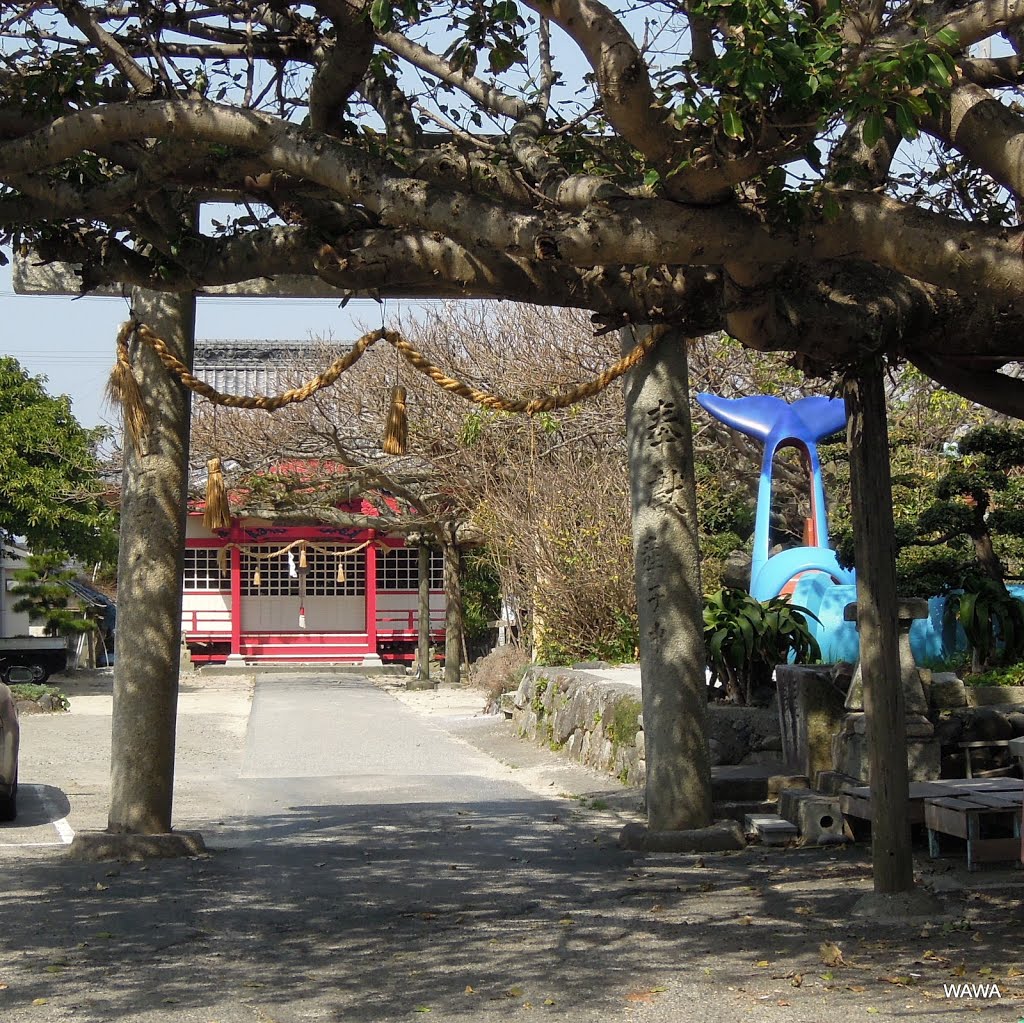 柏島の神社 by Wa Wa