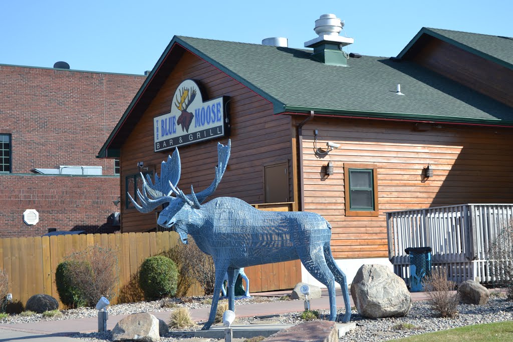 Blue Moose Bar & Grill by JBTHEMILKER