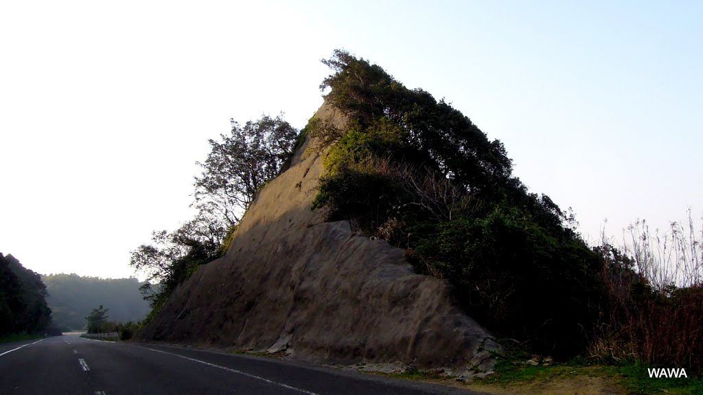 土佐清水　県道27号 by mandegan