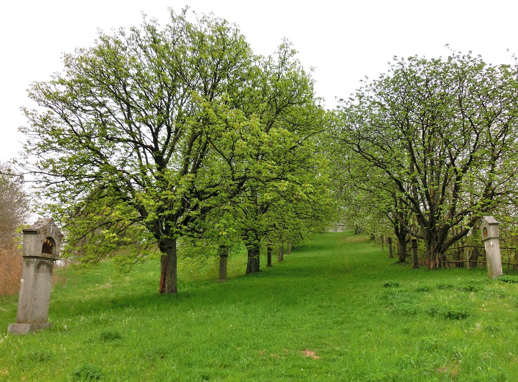 Kreuzweg zum Barbaraberg 1 by G. Zapf