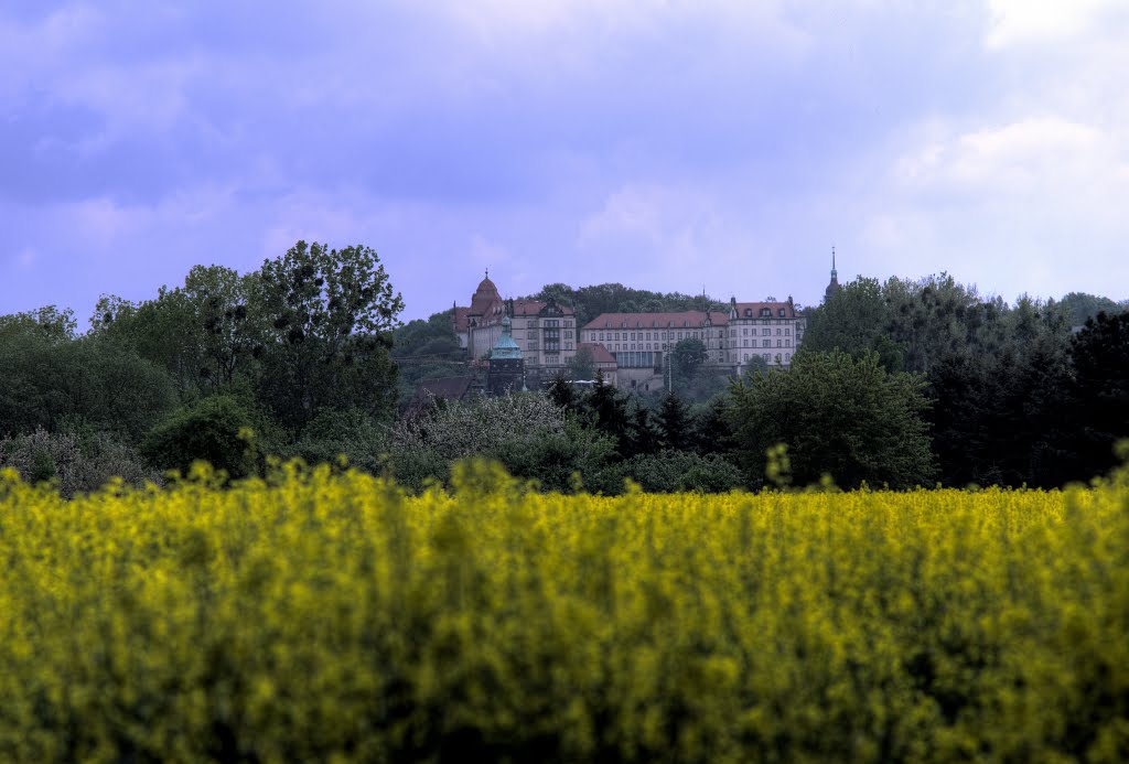 Schloss Sonnenstein , Pirna ,Blick unterhalb der Sachsenbrücke by Dirk F