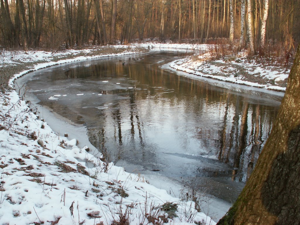 Nad Płonią zimą by Krzysztof Jankowski