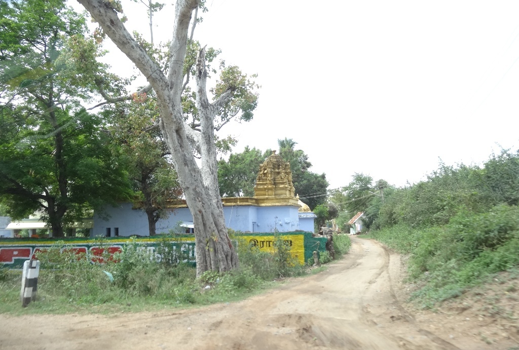 ஸ்ரீவில்லிபுத்தூர் ശ്രി വില്ലിപുത്തൂര് శ్రీవిల్లిపుత్తూర్ श्री विल्लिपुत्तूर ଶ୍ରି ଵିଲ୍ଲିପୁତ୍ତୂର ਸ੍ਰੀ ਵਿਲ਼ਪੁਤ੍ਤੂਰ سری والی پتور ශ්‍රී විල්ලිපුත්තූර් Srivilliputthoor- 7678. by dhanasekarangm