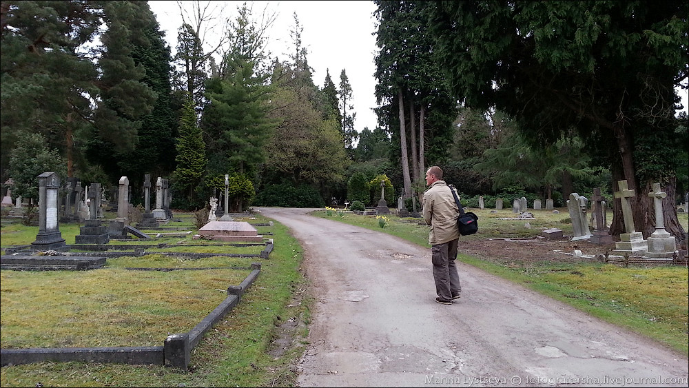 Brookwood cemetery by Marina Lystseva