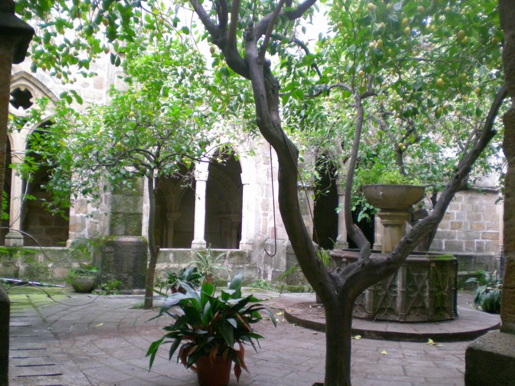 Catedral de Plasencia by Félix Renedo Cruz