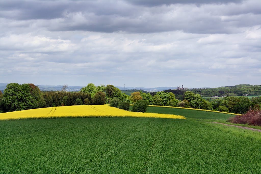 Schaumburgblick by Rainer Pesch