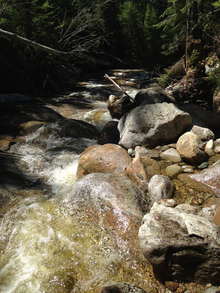 Ascending Webster-Jackson Trail, 05042013 by Arkie_in_CT