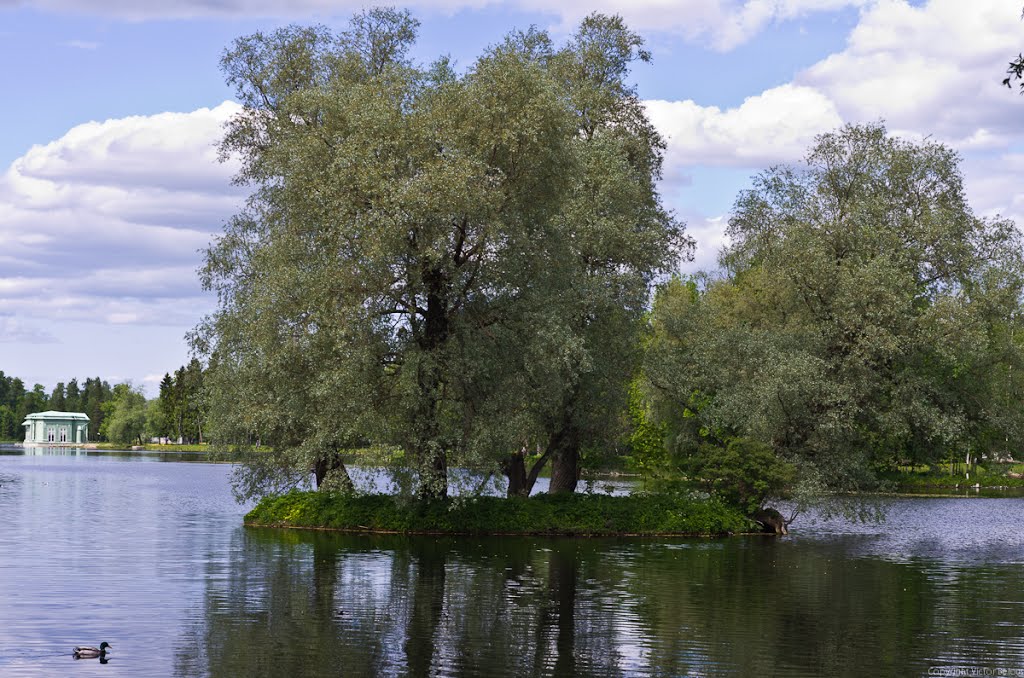 Gatchina, Leningrad Oblast, Russia by Виктор Бело??