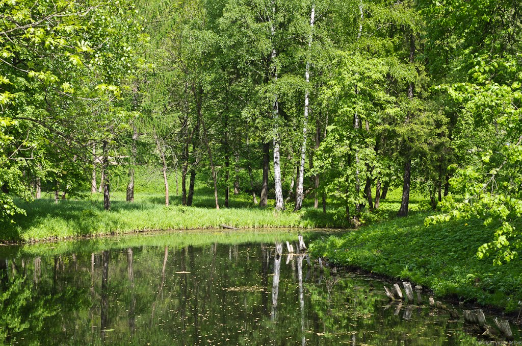 Gatchinsky District, Leningrad Oblast, Russia by Виктор Бело??