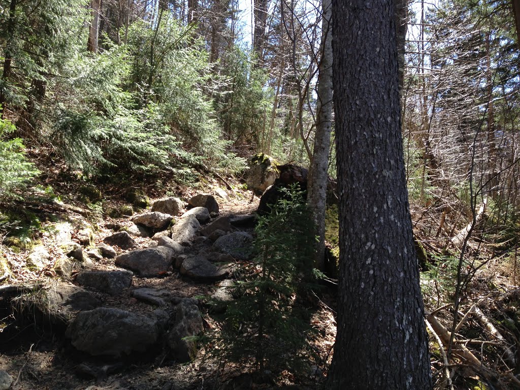 Ascending Webster-Jackson Trail, 05042013 by Arkie_in_CT