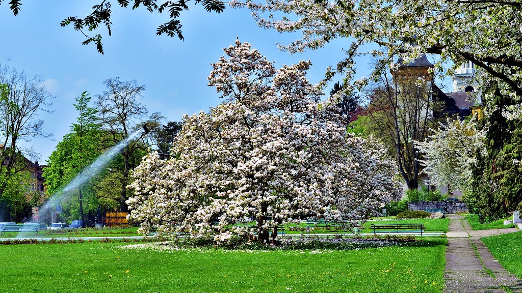 Solothurn, Museumspark im Frühling (VII) by Wilhelm Tell