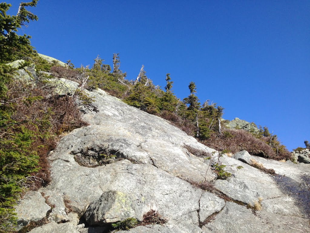 Ascending Webster-Jackson Trail, 05042013 by Arkie_in_CT