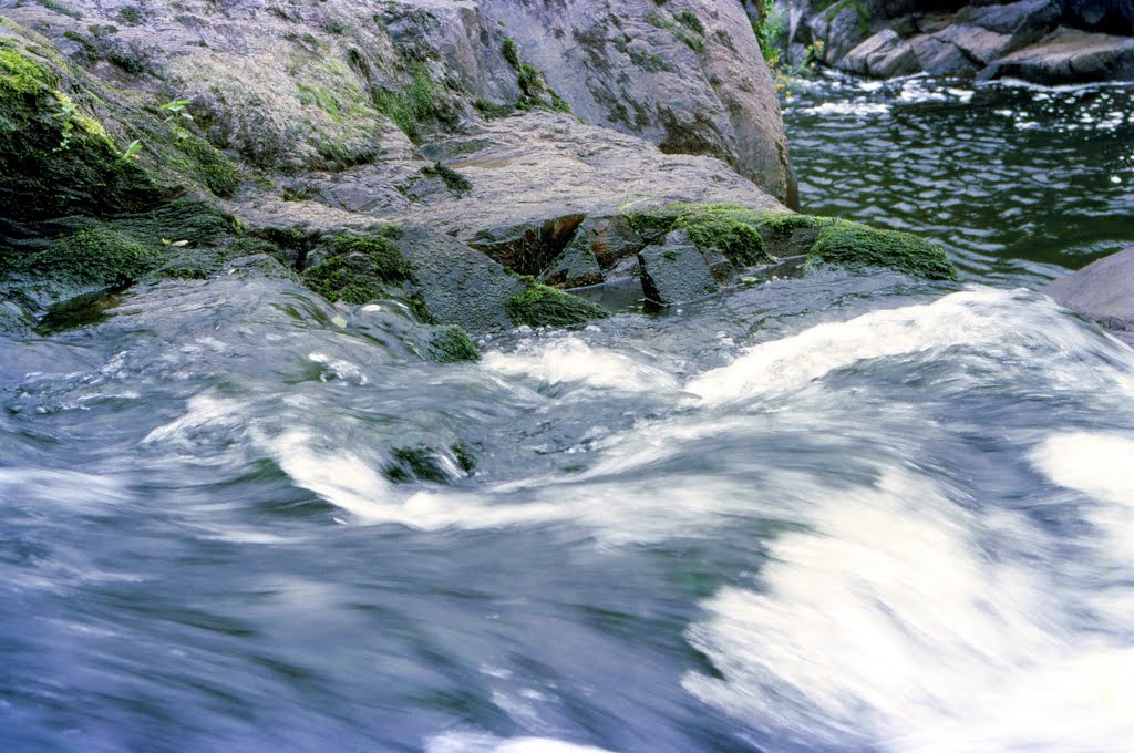 Cenarth Falls by Mike Rice