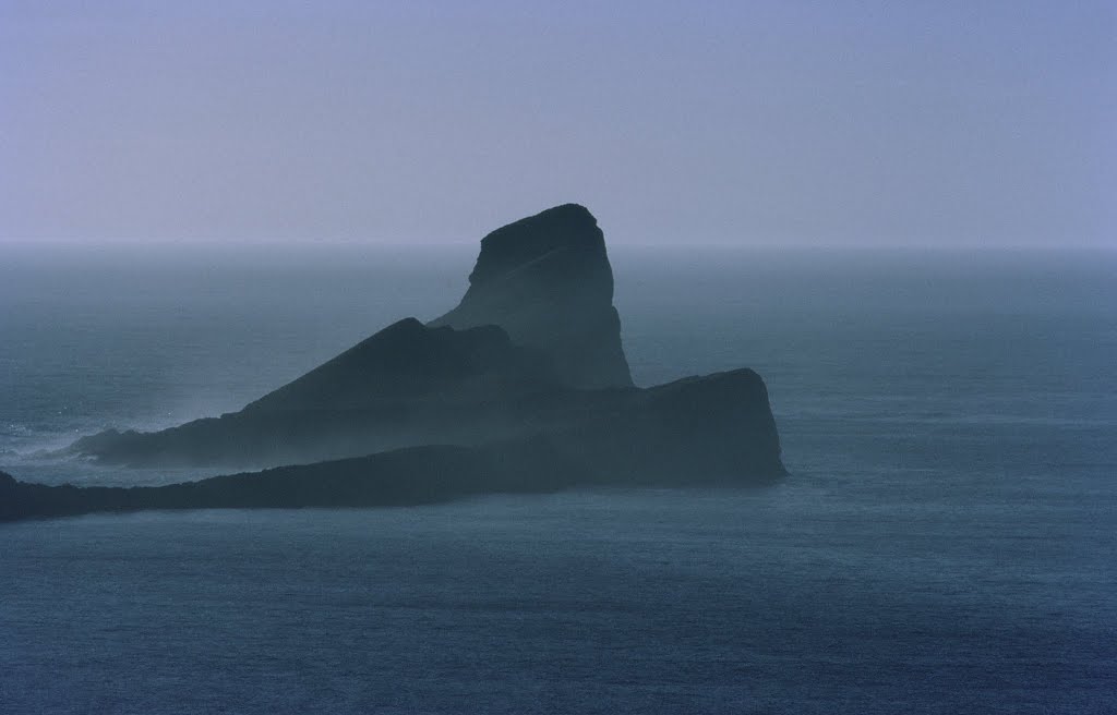 Worms Head by Mike Rice