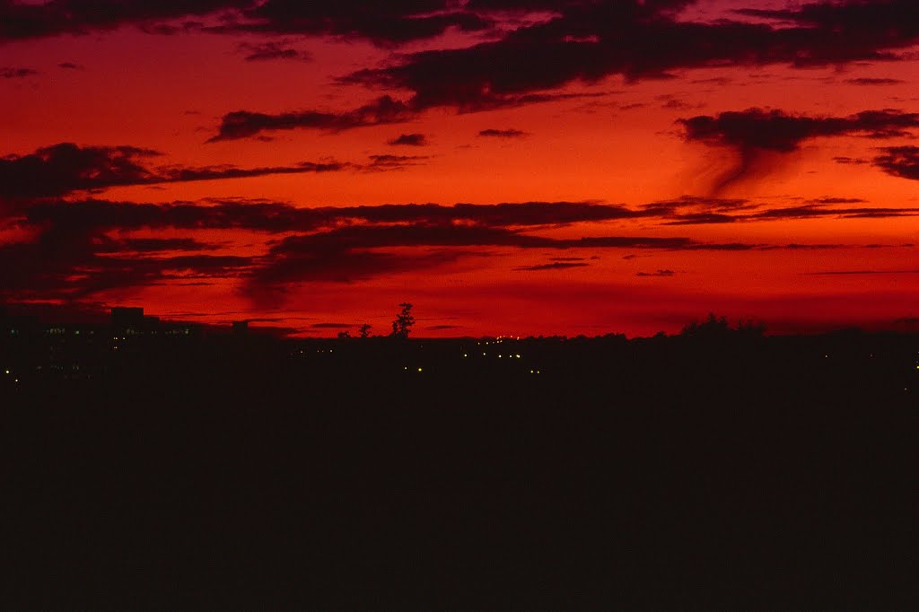 Sunset over Cardiff by mikerc