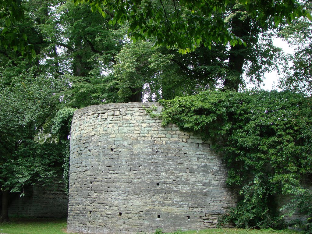 Soest (Die Stadtbefestigung der westfälischen Hansestadt Soest.) Juli 2012 by DortmundWestfalica