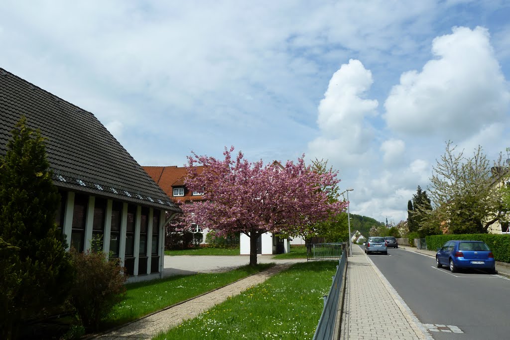 91257 Pegnitz, Germany by Zygmunt Wiśniak